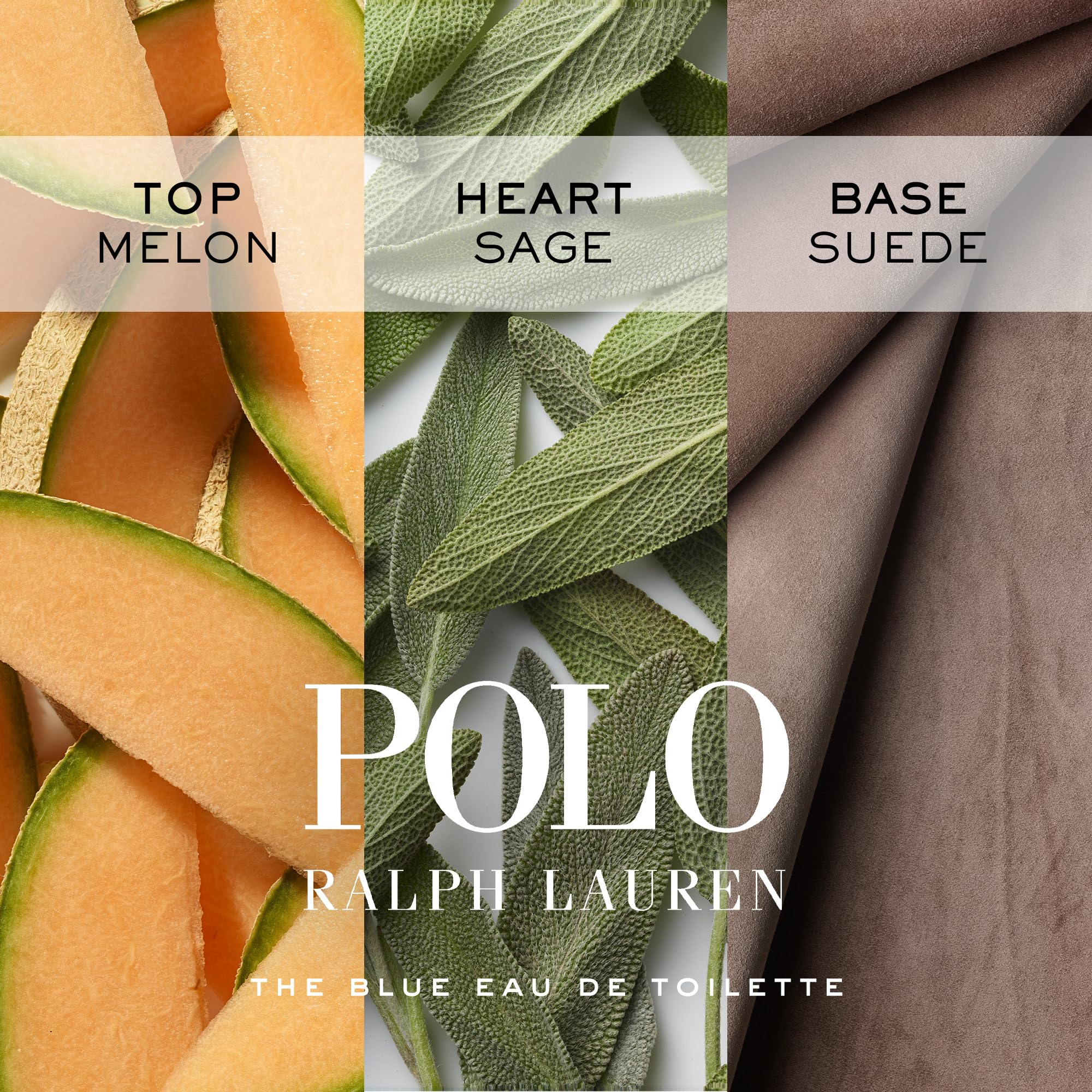 Ralph Lauren Fragrance